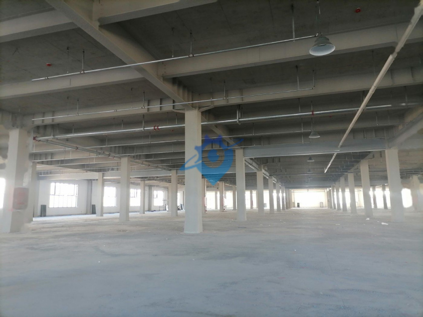 清苑高速口独院5万㎡星级厂房仓储出租整租分租自由,外墙保温好