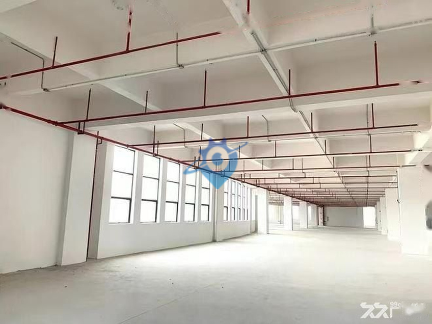 清苑高速口独院5万㎡星级厂房仓储出租整租分租自由,外墙保温好